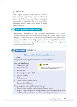 15
Bab 1 Pengenalan Sel
Percobaan Aktivitas 1.4
g. Sitoplasma
Cairan seperti agar-agar yang menyebar di seluruh
bagian sel dan tempat terjadinya reaksi kimia di
dalam sel, disebut sitoplasma. Ibarat semangkuk
sup; sitoplasma adalah kuah dari sayur sup tersebut.
Sitoplasma mengisi ruang-ruang kosong di antara
bagian-bagian sel.
Berdasarkan pemaparan di atas mengenai bagian-bagian sel, beserta
pengandaiannya, buatlah model sel dengan konsep “kota/desa” tempat kalian
tinggal. Kalian boleh memilih salah satu di antara sel hewan atau sel tumbuhan
yang akan dijadikan model. Tiap bagian sel maupun pengandaiannya harus
dijelaskan persamaan fungsinya. Model sel bisa berupa diorama, poster,
ataupun video berupa drama!
Mengamati Sel Tumbuhan dan Sel Hewan
Tujuan:
mengamati dan menggambar sel tumbuhan serta sel hewan
Alat-alat dan bahan:
• Mikroskop cahaya
• Potassium iodin
• Kertas isap
• Kaca preparat/ gelas objek
• Penetes/dropper
• Gelas penutup
• Sampel lapisan bawang merah
• Preparat jadi sel hewan
Prosedur pembuatan sel basah tumbuhan:
1. Kupas setipis mungkin bagian luar dari bawang merah.
2. Siapkan sampel preparat basah lapisan bawang; lihat kembali percobaan
di Aktivitas 1.2, tambahkan potassium iodin sebagai pewarna.
Mari Uji Kemampuan Kalian
1. Jangan memakan apapun dari sampel sel yang digunakan
2. Bawang merah bisa mengiritasi mata dan kulit
Hati-Hati
 