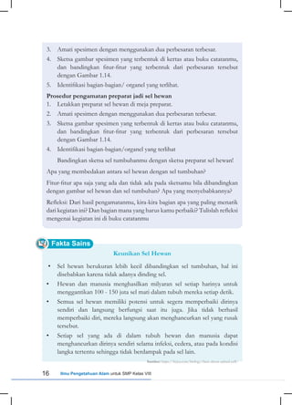 16 Ilmu Pengetahuan Alam untuk SMP Kelas VIII
Fakta Sains
3. Amati spesimen dengan menggunakan dua perbesaran terbesar.
4. Sketsa gambar spesimen yang terbentuk di kertas atau buku catatanmu,
dan bandingkan fitur-fitur yang terbentuk dari perbesaran tersebut
dengan Gambar 1.14.
5. Identifikasi bagian-bagian/ organel yang terlihat.
Prosedur pengamatan preparat jadi sel hewan
1. Letakkan preparat sel hewan di meja preparat.
2. Amati spesimen dengan menggunakan dua perbesaran terbesar.
3. Sketsa gambar spesimen yang terbentuk di kertas atau buku catatanmu,
dan bandingkan fitur-fitur yang terbentuk dari perbesaran tersebut
dengan Gambar 1.14.
4. Identifikasi bagian-bagian/organel yang terlihat
Bandingkan sketsa sel tumbuhanmu dengan sketsa preparat sel hewan!
Apa yang membedakan antara sel hewan dengan sel tumbuhan?
Fitur-fitur apa saja yang ada dan tidak ada pada sketsamu bila dibandingkan
dengan gambar sel hewan dan sel tumbuhan? Apa yang menyebabkannya?
Refleksi: Dari hasil pengamatanmu, kira-kira bagian apa yang paling menarik
dari kegiatan ini? Dan bagian mana yang harus kamu perbaiki? Tulislah refleksi
mengenai kegiatan ini di buku catatanmu
Keunikan Sel Hewan
• Sel hewan berukuran lebih kecil dibandingkan sel tumbuhan, hal ini
disebabkan karena tidak adanya dinding sel.
• Hewan dan manusia menghasilkan milyaran sel setiap harinya untuk
menggantikan 100 - 150 juta sel mati dalam tubuh mereka setiap detik.
• Semua sel hewan memiliki potensi untuk segera memperbaiki dirinya
sendiri dan langsung berfungsi saat itu juga. Jika tidak berhasil
memperbaiki diri, mereka langsung akan menghancurkan sel yang rusak
tersebut.
• Setiap sel yang ada di dalam tubuh hewan dan manusia dapat
menghancurkan dirinya sendiri selama infeksi, cedera, atau pada kondisi
langka tertentu sehingga tidak berdampak pada sel lain.
Sumber: https://byjus.com/biology/facts-about-animal-cell/
 
