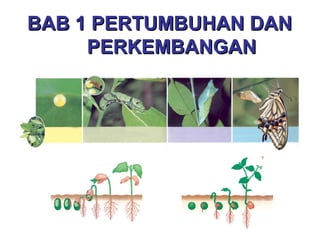 BAB 1 PERTUMBUHAN DANBAB 1 PERTUMBUHAN DAN
PERKEMBANGANPERKEMBANGAN
 