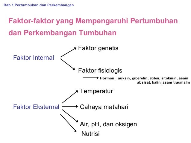 Bab 1 pertumbuhan dan perkembangan