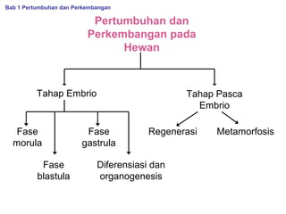 Bab 1 Pertumbuhan dan Perkembangan

Pertumbuhan dan
Perkembangan pada
Hewan

Tahap Embrio

Fase
morula
Fase
blastula

Tahap Pasca
Embrio

Fase
gastrula

Regenerasi

Diferensiasi dan
organogenesis

Metamorfosis

 