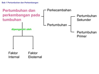 Bab 1 Pertumbuhan dan Perkembangan

Pertumbuhan dan
perkembangan pada
tumbuhan

Perkecambahan
Pertumbuhan
Sekunder
Pertumbuhan

dipengaruhi oleh

Faktor
Internal

Faktor
Eksternal

Pertumbuhan
Primer

 