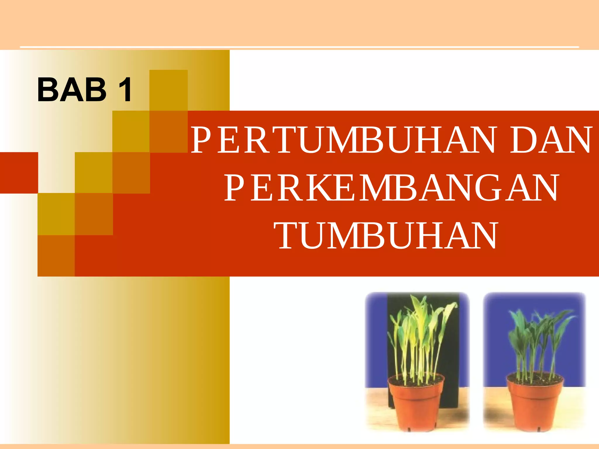 Bab 1 pertumbuhan dan perkembangan tumbuhan kelas XII SMA IPA | PPT