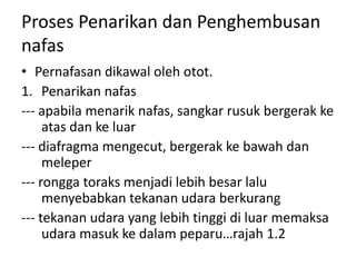 Proses Penarikan dan Penghembusan
nafas
• Pernafasan dikawal oleh otot.
1. Penarikan nafas
--- apabila menarik nafas, sangkar rusuk bergerak ke
atas dan ke luar
--- diafragma mengecut, bergerak ke bawah dan
meleper
--- rongga toraks menjadi lebih besar lalu
menyebabkan tekanan udara berkurang
--- tekanan udara yang lebih tinggi di luar memaksa
udara masuk ke dalam peparu…rajah 1.2
 