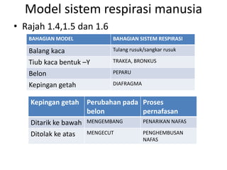 Model sistem respirasi manusia
• Rajah 1.4,1.5 dan 1.6
BAHAGIAN MODEL BAHAGIAN SISTEM RESPIRASI
Balang kaca Tulang rusuk/sangkar rusuk
Tiub kaca bentuk –Y TRAKEA, BRONKUS
Belon PEPARU
Kepingan getah DIAFRAGMA
Kepingan getah Perubahan pada
belon
Proses
pernafasan
Ditarik ke bawah MENGEMBANG PENARIKAN NAFAS
Ditolak ke atas MENGECUT PENGHEMBUSAN
NAFAS
 