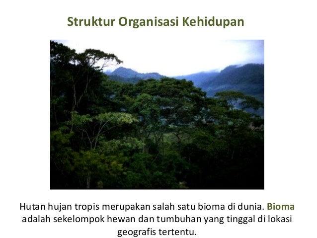 Ruang Lingkup Biologi