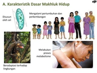 A. Karakteristik Dasar Makhluk Hidup
Disusun
oleh sel
Mengalami pertumbuhan dan
perkembangan
Beradaptasi terhadap
lingkung...