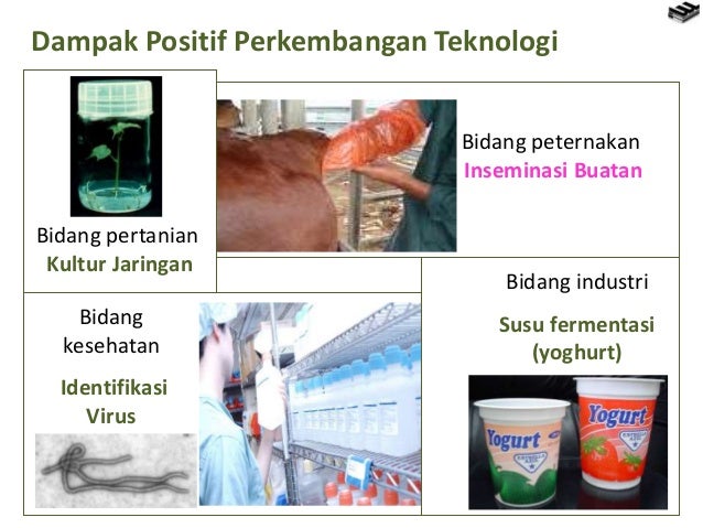Bab 1 ruang lingkup biologi