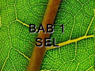 BAB 1BAB 1
SELSEL
 