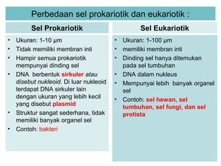 Perbedaan sel prokariotik dan eukariotik : 
Sel Prokariotik 
• Ukuran: 1-10 μm 
• Tidak memiliki membran inti 
• Hampir semua prokariotik 
mempunyai dinding sel 
• DNA berbentuk sirkuler atau 
disebut nukleoid. Di luar nukleoid 
terdapat DNA sirkuler lain 
dengan ukuran yang lebih kecil 
yang disebut plasmid 
• Struktur sangat sederhana, tidak 
memiliki banyak organel sel 
• Contoh: bakteri 
Sel Eukariotik 
• Ukuran: 1-100 μm 
• memiliki membran inti 
• Dinding sel hanya ditemukan 
pada sel tumbuhan 
• DNA dalam nukleus 
• Mempunyai lebih banyak organel 
sel 
• Contoh: sel hewan, sel 
tumbuhan, sel fungi, dan sel 
protista 
 