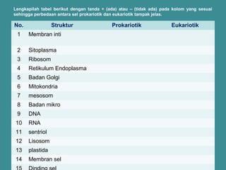 Lengkapilah tabel berikut dengan tanda + (ada) atau – (tidak ada) pada kolom yang sesuai 
sehingga perbedaan antara sel prokariotik dan eukariotik tampak jelas. 
No. Struktur Prokariotik Eukariotik 
1 Membran inti 
2 Sitoplasma 
3 Ribosom 
4 Retikulum Endoplasma 
5 Badan Golgi 
6 Mitokondria 
7 mesosom 
8 Badan mikro 
9 DNA 
10 RNA 
11 sentriol 
12 Lisosom 
13 plastida 
14 Membran sel 
15 Dinding sel 
 