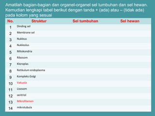 Amatilah bagian-bagian dan organel-organel sel tumbuhan dan sel hewan. 
Kemudian lengkapi tabel berikut dengan tanda + (ada) atau – (tidak ada) 
pada kolom yang sesuai 
No. Struktur Sel tumbuhan Sel hewan 
1 Dinding sel 
2 Membrane sel 
3 Nukleus 
4 Nukleolus 
5 Mitokondria 
6 Ribosom 
7 Kloroplas 
8 Retikulum endoplasma 
9 Kompleks Golgi 
10 Vakuola 
11 Lisosom 
12 sentriol 
13 Mikrofilamen 
14 mikrotubula 
 