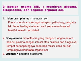 3 bagian utama SEL : membran plasma, 
sitoplasma, dan organel-organel sel. 
1. Membran plasma= membran sel. 
Fungsi membran= sebagai reseptor, pelindung, pengatur 
lalu lintas berbagai macam zat karena membran sel 
bersifat selektif permiabel. 
2. Sitoplasma= protoplasma yang mengisi ruangan antara 
selaput plasma dengan inti sel atau nukleus dan fungsinya: 
tempat berlangsungnya beberapa reaksi kimia sel dan 
terapungnya beberapa organel sel. 
3. Organel = padatan sitoplasma 
 