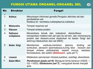 FUNGSI UTAMA ORGANEL-ORGANEL SEL 
No 
. 
Struktur Fungsi 
1 Nukleus Menyimpan informasi genetik,Pengatur aktivitas sel dan 
pembelahan sel. 
Nukleus td : karioteka,nukleoplasma,nukleolus 
2 Mitokondria Tempat respirasi sel 
3 Ribosom Tempat sintesa protein 
4 Retikulum 
endoplasma 
Mensintesis lemak dan kolesterol, detoksifikasi, 
transportasi molekul dari sel satu ke sel lain, dan menampung 
protein dari ribosom,untuk disalurkan ke badan Golgi dan 
akhirnya dikeluarkan dari sel (REK) 
5 Badan Golgi Membentuk: vesikula,membran plasma, dinding sel 
tumbuhan, akrosom spermatozoa,kuning telur , lisosom dan 
tempat sintesa polisakarida, seperti mucus, selulosa, 
hemiselulosa, dan pektin (Diktiosom→pda sel T) 
6 Lisosom Melakukan pencenaan intrasel,autolisis, autofagi, eksositosis 
7. Badan Mikro Peroksisom (pada sel H) :Mengurai kimia beracun (H2O2 → 
O2 + H2O); Glioksisom (sel T) ; mengubah lemak menjadi 
gula 
1 
 
