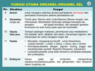 FUNGSI UTAMA ORGANEL-ORGANEL SEL 
No. Struktur Fungsi 
8 Sentriol untuk mengatur polaritas (kutub) pembelahan sel hewan dan 
pemisahan kromosom selama pembelahan sel 
9 Sitoskeleton 
(rangka sel) 
Terdiri atas: filamen aktin (mikrofilamen),filamen tengah, dan 
mikrotubula. Sitoskeleton berfungsi sebagai kerangka sel, 
pengatur gerakan sel (pada Amoeba), dan pengatur gerakan 
kromosom ke arah kutub pada saat sel membelah. 
10 Vakuola 
Vako,vama 
2 
Tempat cadangan makanan, penimbunan sisa metabolisme 
(Ca oksalat, tanin, alkaloid, dan atsiri), menyimpan pigmen, dan 
menyimpan air untuk mengatur turgor sel. 
11 Plastida • Kloroplas: mengandung klorofil ,untuk fotosintesis. 
macam klorofil : a (hibi), b (hiku), c (hico), dan d (hime) 
• Kromoplas:plastida dengan pigmen kuning jingga dan 
merah(karoten,xantofil, fikoeritrin,fikosianin, fukosantin) 
• Leukoplas:plastida yang tidak berwarna (amiloplas,elaioplas, 
dan proteoplas) 
12 Dinding sel Hanya pada sel tumbuhan, mengandung 
selulosa,hemiselulosa,pektin, dan glikoprotein. Dan berperan 
dalam turgiditas sel. 
 