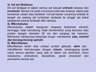 3). Inti sel (Nukleus) 
Inti sel terdapat di dalam semua sel kecuali eritrosit dewasa dan 
trombosit. Bentuk inti pada umumnya bulat atau lonjong, dapat pula 
berbentuk cawan atau berlekuk. Inti sel hewan umumnya terletak di 
tengah sel sedang sel tumbuhan terdesak ke pinggir sel dekat 
sitoplasma karena terdesak oleh vakoula. 
4). Mikrotubulus 
Mikrotubulus adalah bangunan langsing berbentuk silindris, 
berongga, tidak bercabang, tidak bermembran yang tersusun atas 
protein dengan diameter 25 nm dan panjang tak menentu. 
Mikrotubul mempunyai beberapa fungsi. membentuk silia, sentriol 
dan benang-benang spindel . 
5). Mikrofilamen 
Mikrofilamen terdiri atas untaian protein globular, aktin dan 
mikrofilamen berhubungan dengan miosin, bertanggung jawab 
untuk semua gerakan yang ada di dalam sel (kontraksi, aliran 
sitoplasma, endositosis, eksositosis, gerak amoeboid dan 
perubahan bentuk sel). 
 