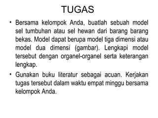 TUGAS 
• Bersama kelompok Anda, buatlah sebuah model 
sel tumbuhan atau sel hewan dari barang barang 
bekas. Model dapat berupa model tiga dimensi atau 
model dua dimensi (gambar). Lengkapi model 
tersebut dengan organel-organel serta keterangan 
lengkap. 
• Gunakan buku literatur sebagai acuan. Kerjakan 
tugas tersebut dalam waktu empat minggu bersama 
kelompok Anda. 
 
