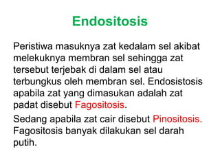 Endositosis 
Peristiwa masuknya zat kedalam sel akibat 
melekuknya membran sel sehingga zat 
tersebut terjebak di dalam sel atau 
terbungkus oleh membran sel. Endosistosis 
apabila zat yang dimasukan adalah zat 
padat disebut Fagositosis. 
Sedang apabila zat cair disebut Pinositosis. 
Fagositosis banyak dilakukan sel darah 
putih. 
 