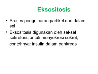 Eksositosis 
• Proses pengeluaran partikel dari dalam 
sel 
• Eksositosis digunakan oleh sel-sel 
sekretoris untuk menyekresi sekret, 
contohnya: insulin dalam pankreas 
 