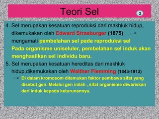 Teori Sel 
2 
4. Sel merupakan kesatuan reproduksi dari makhluk hidup, 
dikemukakan oleh Edward Strasburger (1875) 
mengamati pembelahan sel pada reproduksi sel 
Pada organisme uniseluler, pembelahan sel induk akan 
menghasilkan sel individu baru. 
5. Sel merupakan kesatuan hereditas dari makhluk 
hidup,dikemukakan oleh Walther Flemming (1843-1913) 
Di dalam kromosom ditemukan faktor pembawa sifat yang 
disebut gen. Melalui gen inilah , sifat organisme diwariskan 
dari induk kepada keturunannya. 
 