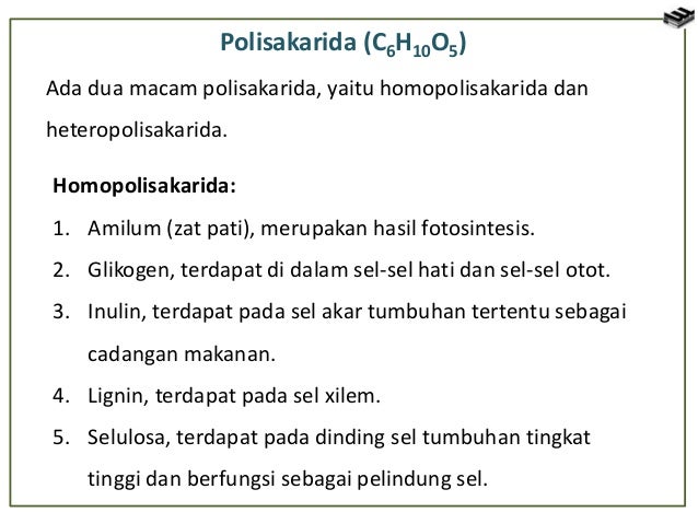 Sel Tumbuhan Dan Sel Hewan 51933911