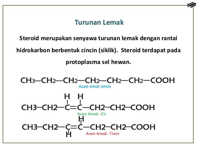 Sel Tumbuhan Dan Sel Hewan 51933911