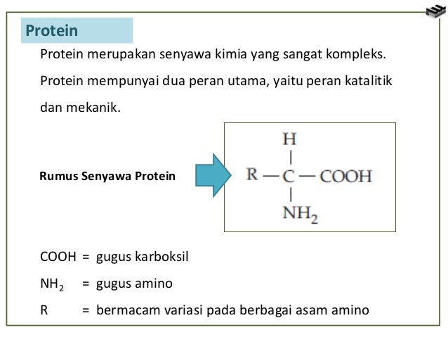 Sel Tumbuhan Dan Sel Hewan 51933911
