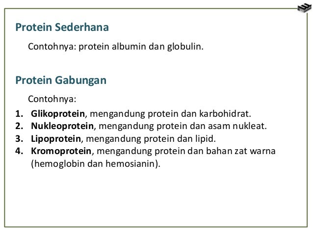 Sel Tumbuhan Dan Sel Hewan 51933911