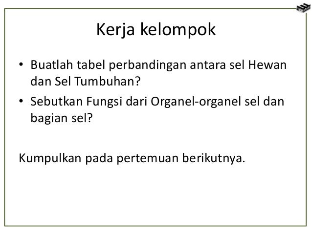 Sel Tumbuhan Dan Sel Hewan 51933911