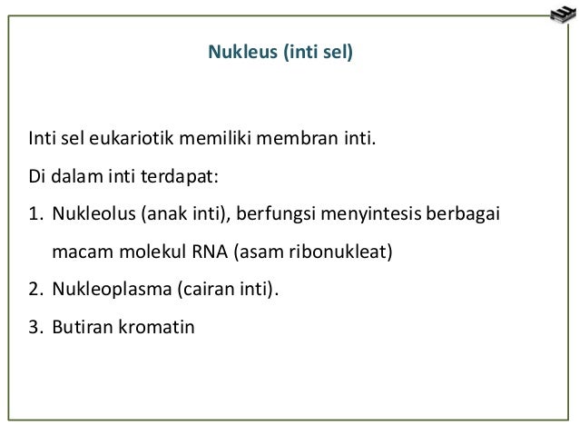 Sel Tumbuhan Dan Sel Hewan 51933911