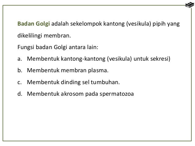 Sel Tumbuhan Dan Sel Hewan 51933911