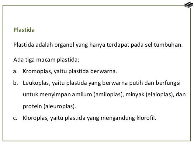 sel tumbuhan dan sel hewan sel tumbuhan dan sel hewan