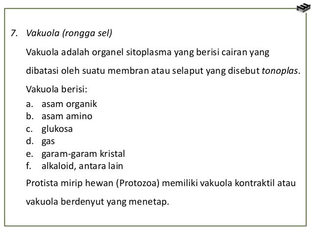 Sel Tumbuhan Dan Sel Hewan 51933911