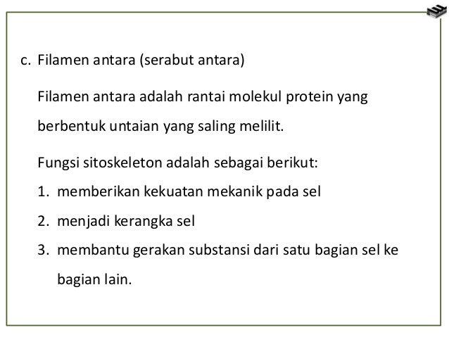 Sel Tumbuhan Dan Sel Hewan 51933911