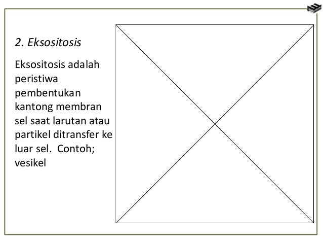 Sel Tumbuhan Dan Sel Hewan 51933911