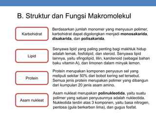 B. Struktur dan Fungsi Makromolekul
Karbohidrat
Lipid
Protein
Asam nukleat
Berdasarkan jumlah monomer yang menyusun polimer,
karbohidrat dapat digolongkan menjadi monosakarida,
disakarida, dan polisakarida.
Senyawa lipid yang paling penting bagi makhluk hidup
adalah lemak, fosfolipid, dan steroid. Senyawa lipid
lainnya, yaitu sfingolipid, lilin, karotenoid (sebagai bahan
baku vitamin A), dan limonen dalam minyak lemon.
Protein merupakan komponen penyusun sel yang
meliputi sekitar 50% dari bobot kering sel tersebut.
Semua jenis protein merupakan polimer yang dibangun
dari kumpulan 20 jenis asam amino.
Asam nukleat merupakan polinukleotida, yaitu suatu
polimer yang satuan penyusunnya adalah nukleotida.
Nukleotida terdiri atas 3 komponen, yaitu basa nitrogen,
pentosa (gula berkarbon lima), dan gugus fosfat.
 