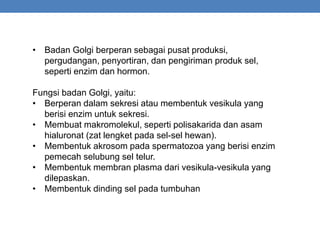 • Badan Golgi berperan sebagai pusat produksi,
pergudangan, penyortiran, dan pengiriman produk sel,
seperti enzim dan hormon.
Fungsi badan Golgi, yaitu:
• Berperan dalam sekresi atau membentuk vesikula yang
berisi enzim untuk sekresi.
• Membuat makromolekul, seperti polisakarida dan asam
hialuronat (zat lengket pada sel-sel hewan).
• Membentuk akrosom pada spermatozoa yang berisi enzim
pemecah selubung sel telur.
• Membentuk membran plasma dari vesikula-vesikula yang
dilepaskan.
• Membentuk dinding sel pada tumbuhan
 