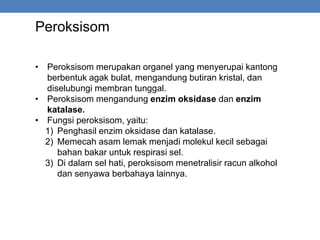 Peroksisom
• Peroksisom merupakan organel yang menyerupai kantong
berbentuk agak bulat, mengandung butiran kristal, dan
diselubungi membran tunggal.
• Peroksisom mengandung enzim oksidase dan enzim
katalase.
• Fungsi peroksisom, yaitu:
1) Penghasil enzim oksidase dan katalase.
2) Memecah asam lemak menjadi molekul kecil sebagai
bahan bakar untuk respirasi sel.
3) Di dalam sel hati, peroksisom menetralisir racun alkohol
dan senyawa berbahaya lainnya.
 