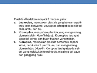 Plastida dibedakan menjadi 3 macam, yaitu:
a. Leukoplas, merupakan plastida yang berwarna putih
atau tidak berwarna. Leukoplas terdapat pada sel-sel
akar, umbi, dan biji.
b. Kromoplas, merupakan plastida yang mengandung
pigmen selain klorofil (hijau). Kromoplas terdapat
pada sel bunga dan buah-buahan yang masak.
c. Kloroplas, merupakan plastida berbentuk seperti
lensa, berukuran 2 μm x 5 μm, dan mengandung
pigmen hijau (klorofil). Kloroplas terdapat pada sel-
sel yang melakukan fotosintesis, misalnya sel daun
dan ganggang hijau.
 