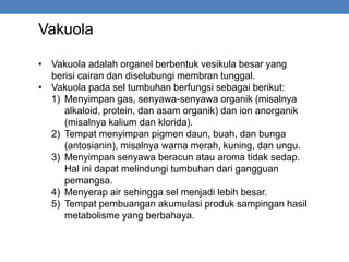 Vakuola
• Vakuola adalah organel berbentuk vesikula besar yang
berisi cairan dan diselubungi membran tunggal.
• Vakuola pada sel tumbuhan berfungsi sebagai berikut:
1) Menyimpan gas, senyawa-senyawa organik (misalnya
alkaloid, protein, dan asam organik) dan ion anorganik
(misalnya kalium dan klorida).
2) Tempat menyimpan pigmen daun, buah, dan bunga
(antosianin), misalnya warna merah, kuning, dan ungu.
3) Menyimpan senyawa beracun atau aroma tidak sedap.
Hal ini dapat melindungi tumbuhan dari gangguan
pemangsa.
4) Menyerap air sehingga sel menjadi lebih besar.
5) Tempat pembuangan akumulasi produk sampingan hasil
metabolisme yang berbahaya.
 