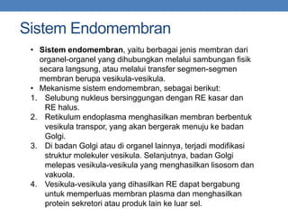 Sistem Endomembran
• Sistem endomembran, yaitu berbagai jenis membran dari
organel-organel yang dihubungkan melalui sambungan fisik
secara langsung, atau melalui transfer segmen-segmen
membran berupa vesikula-vesikula.
• Mekanisme sistem endomembran, sebagai berikut:
1. Selubung nukleus bersinggungan dengan RE kasar dan
RE halus.
2. Retikulum endoplasma menghasilkan membran berbentuk
vesikula transpor, yang akan bergerak menuju ke badan
Golgi.
3. Di badan Golgi atau di organel lainnya, terjadi modifikasi
struktur molekuler vesikula. Selanjutnya, badan Golgi
melepas vesikula-vesikula yang menghasilkan lisosom dan
vakuola.
4. Vesikula-vesikula yang dihasilkan RE dapat bergabung
untuk memperluas membran plasma dan menghasilkan
protein sekretori atau produk lain ke luar sel.
 