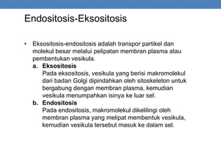 Endositosis-Eksositosis
• Eksositosis-endositosis adalah transpor partikel dan
molekul besar melalui pelipatan membran plasma atau
pembentukan vesikula.
a. Eksositosis
Pada eksositosis, vesikula yang berisi makromolekul
dari badan Golgi dipindahkan oleh sitoskeleton untuk
bergabung dengan membran plasma, kemudian
vesikula menumpahkan isinya ke luar sel.
b. Endositosis
Pada endositosis, makromolekul dikelilingi oleh
membran plasma yang melipat membentuk vesikula,
kemudian vesikula tersebut masuk ke dalam sel.
 