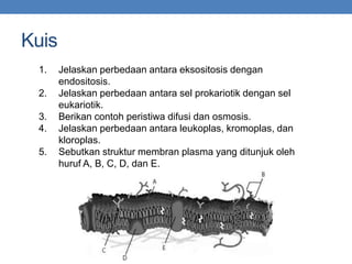 Kuis
1. Jelaskan perbedaan antara eksositosis dengan
endositosis.
2. Jelaskan perbedaan antara sel prokariotik dengan sel
eukariotik.
3. Berikan contoh peristiwa difusi dan osmosis.
4. Jelaskan perbedaan antara leukoplas, kromoplas, dan
kloroplas.
5. Sebutkan struktur membran plasma yang ditunjuk oleh
huruf A, B, C, D, dan E.
 
