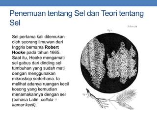 Penemuan tentang Sel dan Teori tentang
Sel
Sel pertama kali ditemukan
oleh seorang ilmuwan dari
Inggris bernama Robert
Hooke pada tahun 1665.
Saat itu, Hooke mengamati
sel gabus dari dinding sel
tumbuhan yang sudah mati
dengan menggunakan
mikroskop sederhana. Ia
melihat adanya ruangan kecil
kosong yang kemudian
menamakannya dengan sel
(bahasa Latin, cellula =
kamar kecil).
 