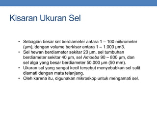 Kisaran Ukuran Sel
• Sebagian besar sel berdiameter antara 1 – 100 mikrometer
(μm), dengan volume berkisar antara 1 – 1.000 μm3.
• Sel hewan berdiameter sekitar 20 μm, sel tumbuhan
berdiameter sekitar 40 μm, sel Amoeba 90 – 800 μm, dan
sel alga yang besar berdiameter 50.000 μm (50 mm).
• Ukuran sel yang sangat kecil tersebut menyebabkan sel sulit
diamati dengan mata telanjang.
• Oleh karena itu, digunakan mikroskop untuk mengamati sel.
 