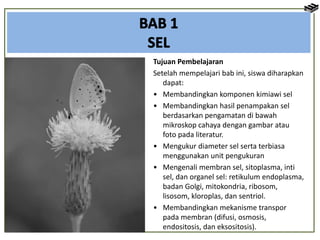 Tujuan Pembelajaran
Setelah mempelajari bab ini, siswa diharapkan
dapat:
• Membandingkan komponen kimiawi sel
• Membandingkan hasil penampakan sel
berdasarkan pengamatan di bawah
mikroskop cahaya dengan gambar atau
foto pada literatur.
• Mengukur diameter sel serta terbiasa
menggunakan unit pengukuran
• Mengenali membran sel, sitoplasma, inti
sel, dan organel sel: retikulum endoplasma,
badan Golgi, mitokondria, ribosom,
lisosom, kloroplas, dan sentriol.
• Membandingkan mekanisme transpor
pada membran (difusi, osmosis,
endositosis, dan eksositosis).
 