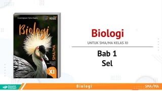 Biologi
UNTUK SMA/MA KELAS XI
Bab 1
Sel
 