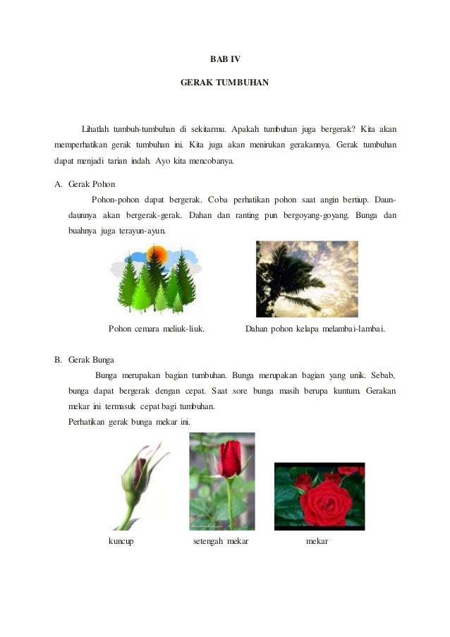 Bab 1 Seni 2 Dimensi 1 Bab 1 Seni 2 Dimensi 1