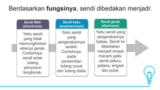 Berdasarkan fungsinya, sendi dibedakan menjadi:
Yaitu sendi
yang tidak
memungkinkan
adanya gerak.
Contohnya:
sendi antar
tulang
penyusun
tengkorak.
Sendi Mati
(sinartrosis)
Yaitu sendi
yang
pergerakannya
sedikit.
Contohnya,
pada
persendian
tulang rusuk
dan tulang dada.
Sendi kaku
(amphiartrosis)
Yaitu sendi yang
pergerakannya
bebas. Sendi ini
dibedakan
menjadi empat
macam yaitu:
sendi peluru,
pelana, engsel
dan putar.
Sendi gerak
(diartrosis)
 