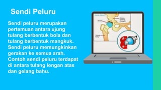 Sendi peluru merupakan
pertemuan antara ujung
tulang berbentuk bola dan
tulang berbentuk mangkuk.
Sendi peluru memungkinkan
gerakan ke semua arah.
Contoh sendi peluru terdapat
di antara tulang lengan atas
dan gelang bahu.
Sendi Peluru
 